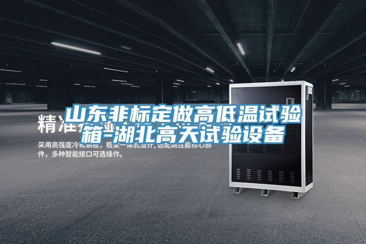 山東非標定做高低溫試驗箱-湖北高天試驗設備