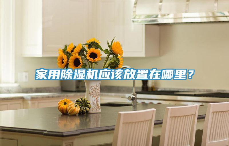 家用除濕機應該放置在哪里？