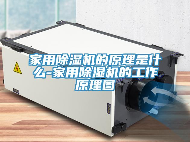 家用除濕機的原理是什么-家用除濕機的工作原理圖