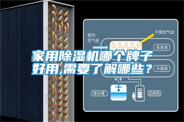 家用除濕機哪個牌子好用,需要了解哪些？