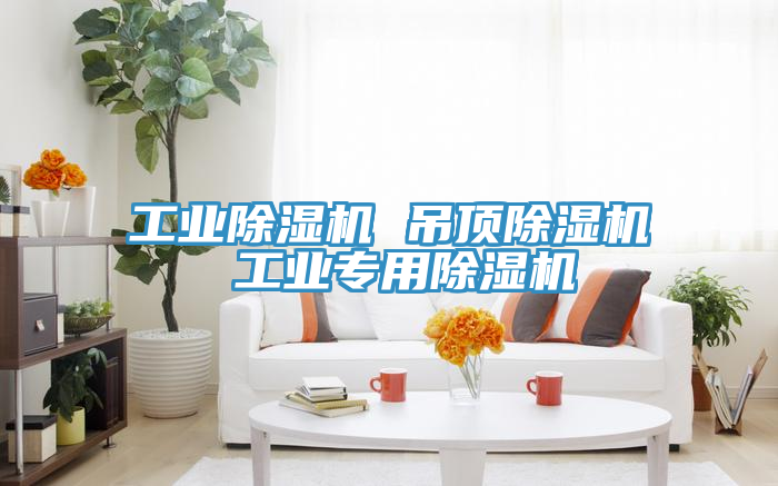 工業除濕機 吊頂除濕機 工業專用除濕機