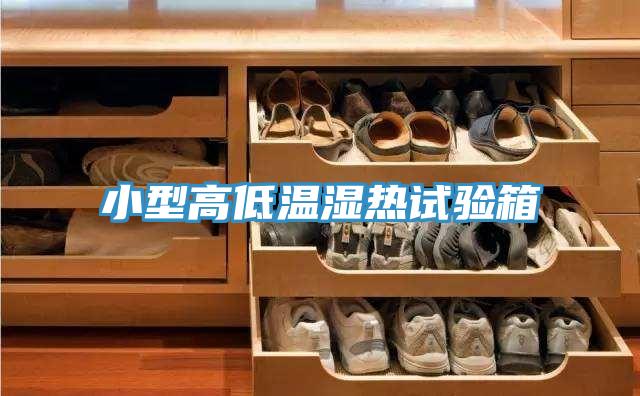 小型高低溫濕熱試驗(yàn)箱