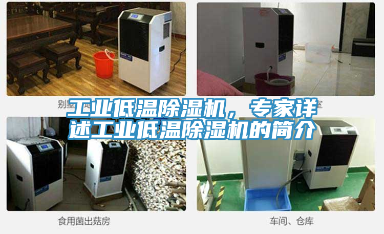 工業(yè)低溫除濕機(jī)，專家詳述工業(yè)低溫除濕機(jī)的簡介