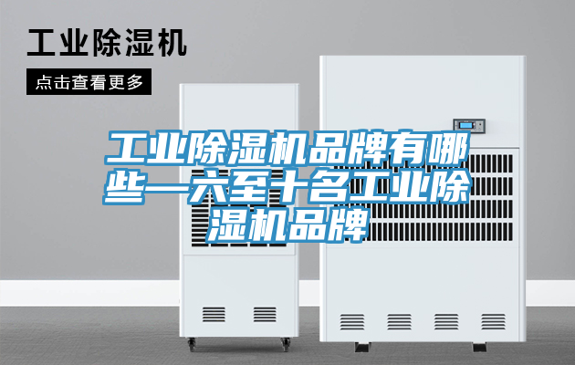 工業除濕機品牌有哪些—六至十名工業除濕機品牌