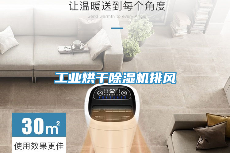 工業(yè)烘干除濕機排風