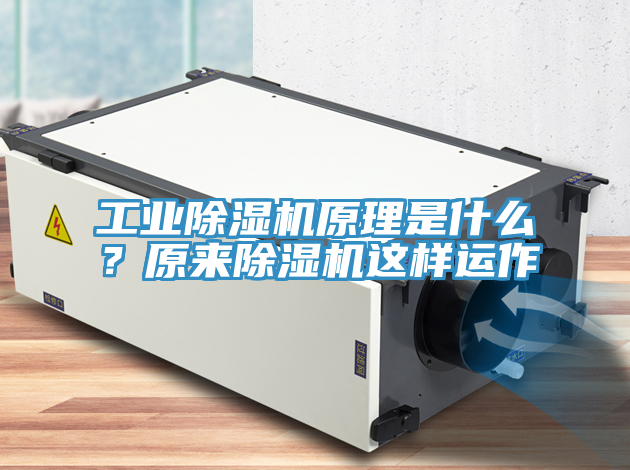 工業除濕機原理是什么？原來除濕機這樣運作