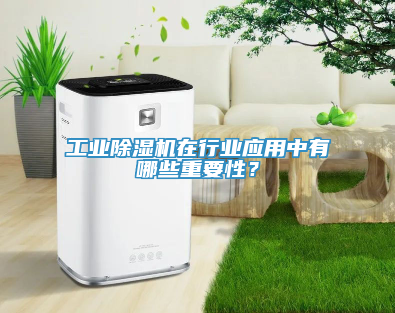 工業(yè)除濕機(jī)在行業(yè)應(yīng)用中有哪些重要性？