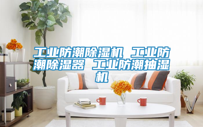 工業防潮除濕機 工業防潮除濕器 工業防潮抽濕機