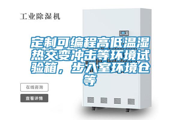 定制可編程高低溫濕熱交變沖擊等環境試驗箱，步入室環境倉等