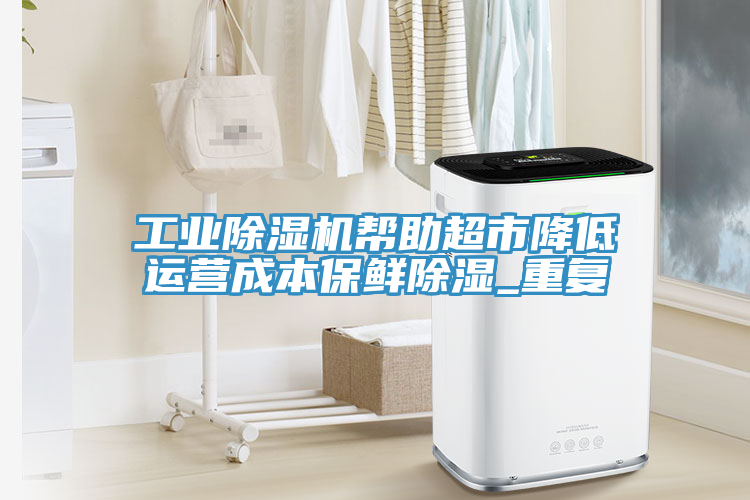 工業(yè)除濕機(jī)幫助超市降低運(yùn)營(yíng)成本保鮮除濕_重復(fù)