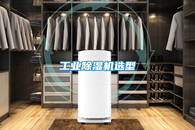 工業(yè)除濕機選型