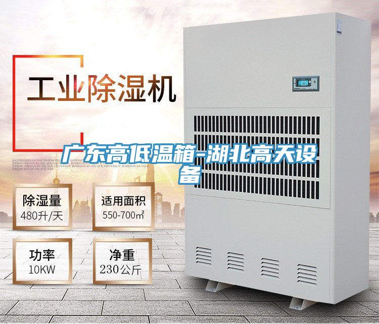 廣東高低溫箱-湖北高天設備