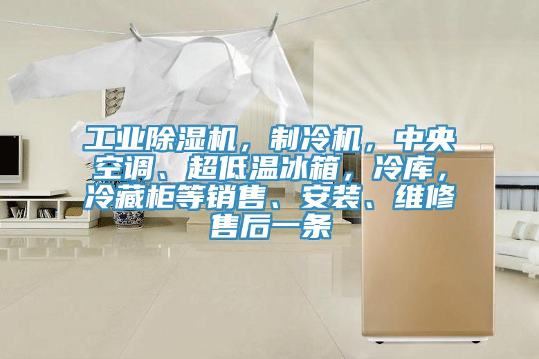 工業除濕機，制冷機，中央空調、超低溫冰箱，冷庫，冷藏柜等銷售、安裝、維修售后一條