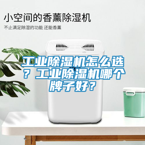 工業(yè)除濕機怎么選？工業(yè)除濕機哪個牌子好？