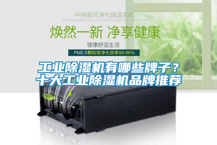 工業除濕機有哪些牌子？十大工業除濕機品牌推薦
