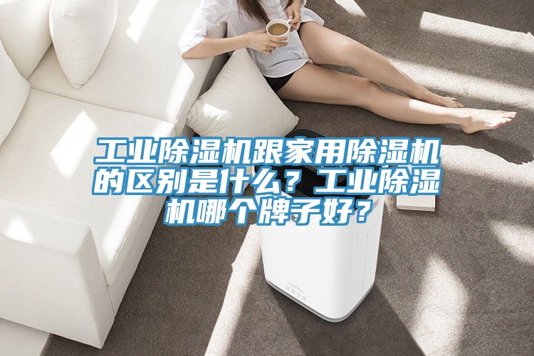工業(yè)除濕機跟家用除濕機的區(qū)別是什么？工業(yè)除濕機哪個牌子好？
