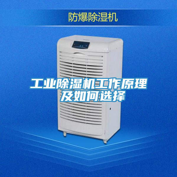 工業除濕機工作原理 及如何選擇