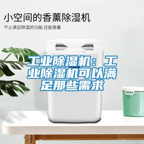 工業(yè)除濕機：工業(yè)除濕機可以滿足那些需求