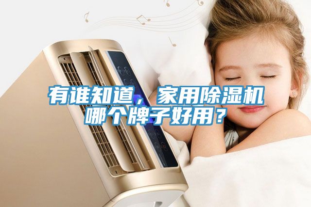 有誰知道，家用除濕機(jī)哪個(gè)牌子好用？