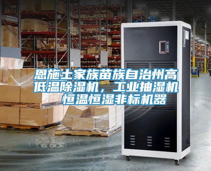 恩施土家族苗族自治州高低溫除濕機，工業抽濕機  恒溫恒濕非標機器