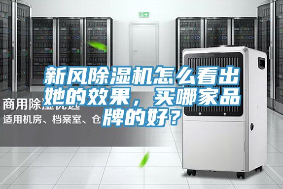 新風(fēng)除濕機(jī)怎么看出她的效果，買哪家品牌的好？