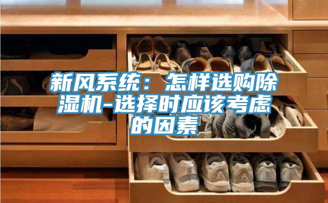 新風系統：怎樣選購除濕機-選擇時應該考慮的因素