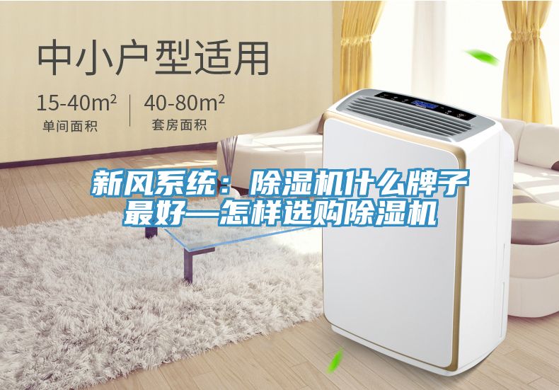 新風系統：除濕機什么牌子最好—怎樣選購除濕機