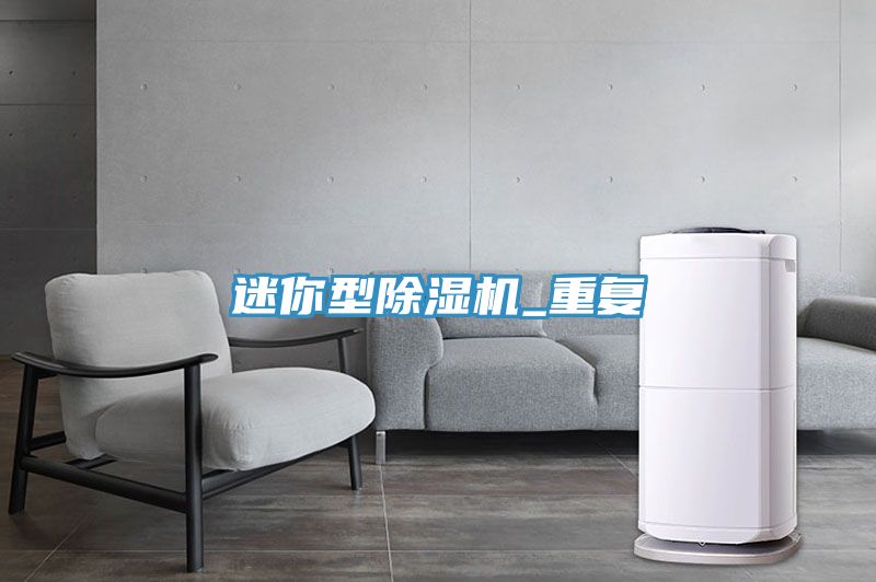 迷你型除濕機_重復