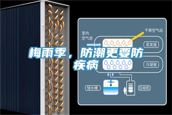 梅雨季，防潮更要防疾病