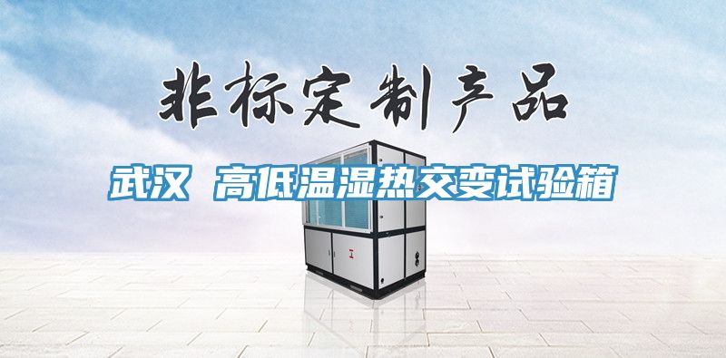 武漢 高低溫濕熱交變試驗箱