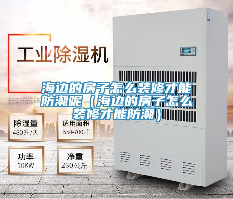 海邊的房子怎么裝修才能防潮呢(海邊的房子怎么裝修才能防潮)