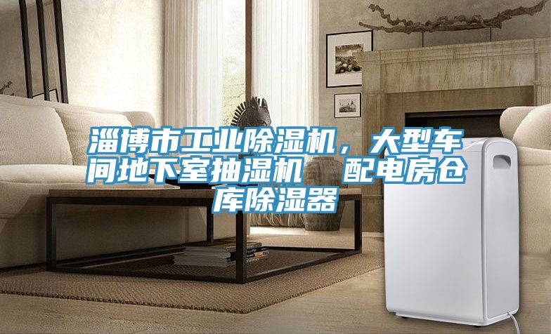 淄博市工業(yè)除濕機(jī)，大型車(chē)間地下室抽濕機(jī)  配電房倉(cāng)庫(kù)除濕器