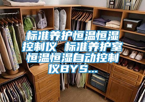 標準養護恒溫恒濕控制儀 標準養護室恒溫恒濕自動控制儀BYS...