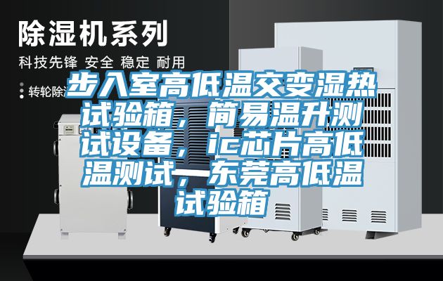步入室高低溫交變濕熱試驗箱，簡易溫升測試設備，ic芯片高低溫測試，東莞高低溫試驗箱