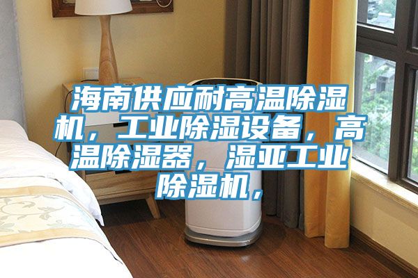 海南供應耐高溫除濕機,工業除濕設備,高溫除濕器,濕亞工業除濕機,
