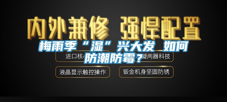 梅雨季“濕”興大發(fā) 如何防潮防霉？