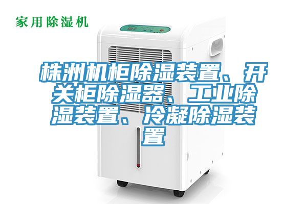 株洲機柜除濕裝置、開關柜除濕器、工業除濕裝置、冷凝除濕裝置