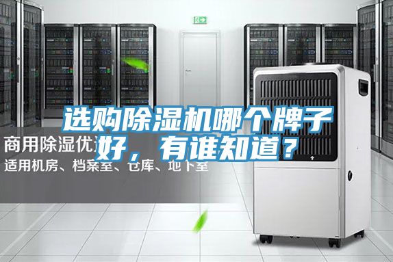 選購除濕機哪個牌子好,有誰知道?