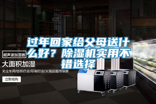 過年回家給父母送什么好?除濕機實用不錯選擇