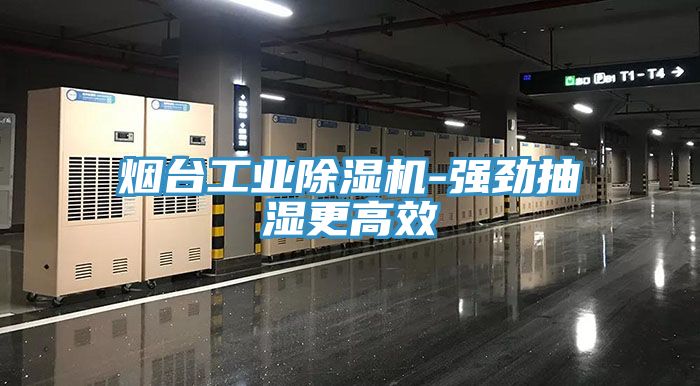 煙臺工業除濕機-強勁抽濕更高效