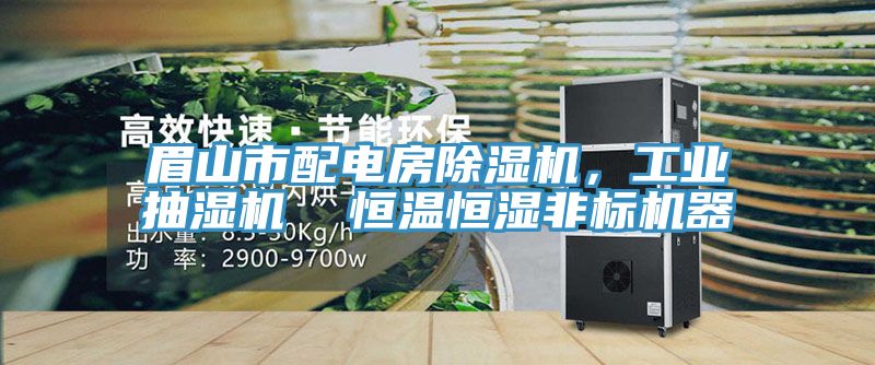 眉山市配電房除濕機,工業抽濕機 恒溫恒濕非標機器