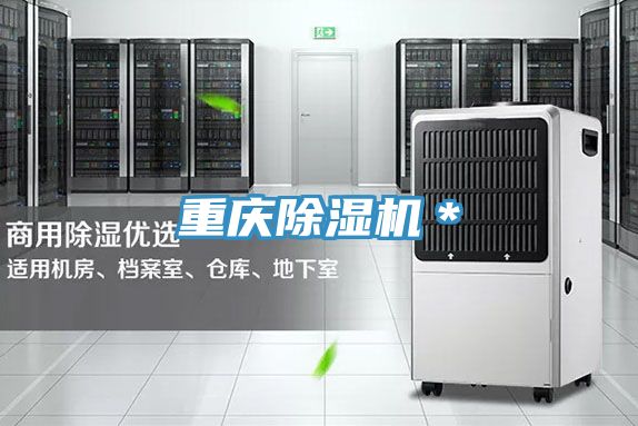重慶除濕機*