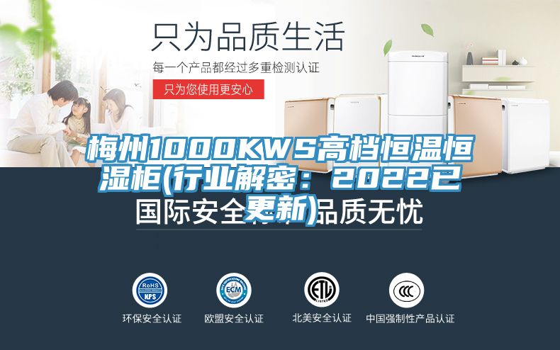 梅州1000KWS高檔恒溫恒濕柜(行業解密:2022已更新)