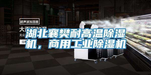 湖北襄樊耐高溫除濕機,商用工業除濕機