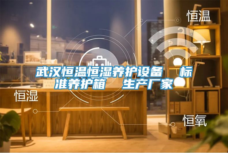 武漢恒溫恒濕養護設備 標準養護箱 生產廠家