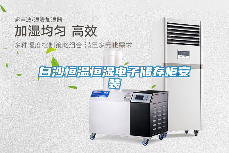 白沙恒溫恒濕電子儲(chǔ)存柜安裝