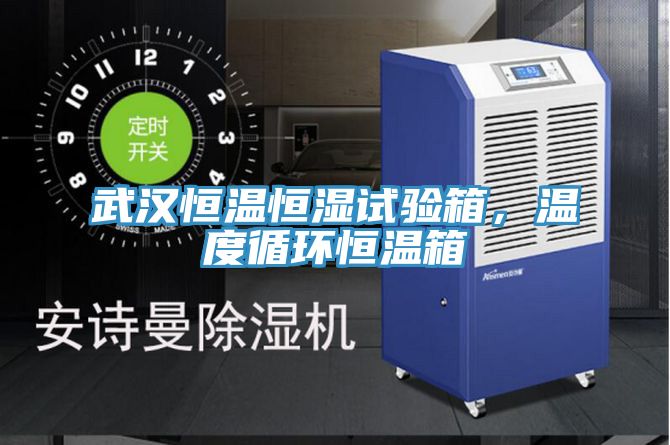 武漢恒溫恒濕試驗箱，溫度循環(huán)恒溫箱