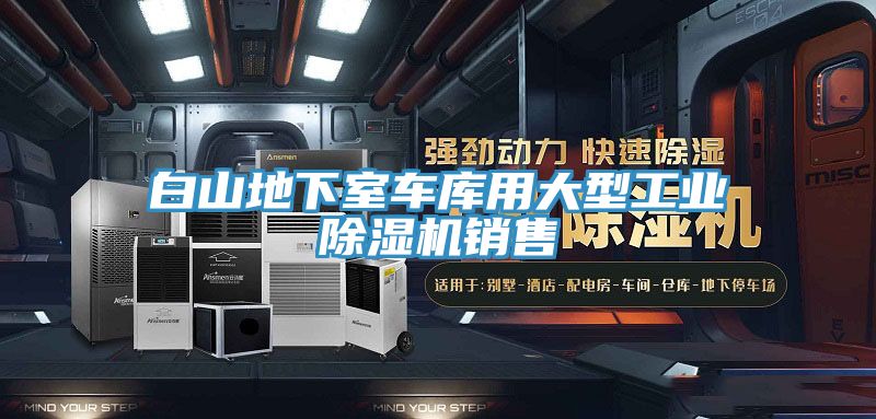 白山地下室車庫(kù)用大型工業(yè)除濕機(jī)銷售