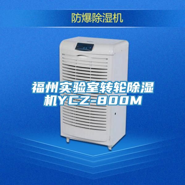 福州實(shí)驗(yàn)室轉(zhuǎn)輪除濕機(jī)YCZ-800M