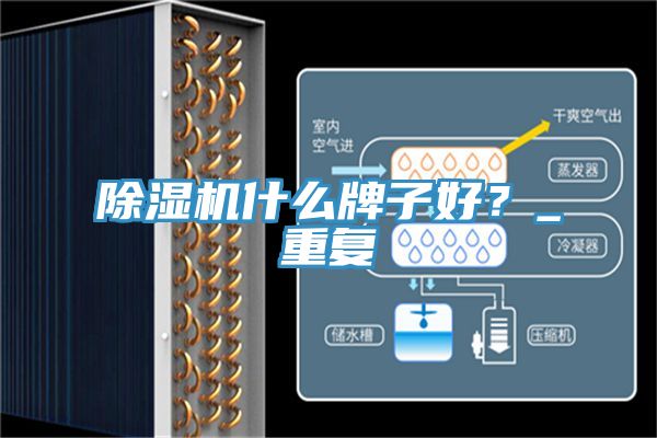 除濕機什么牌子好?_重復